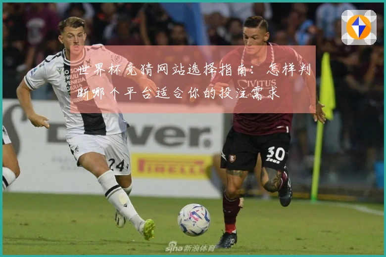 世界杯竞猜网站选择指南:怎样判断哪个平台适合你的投注需求