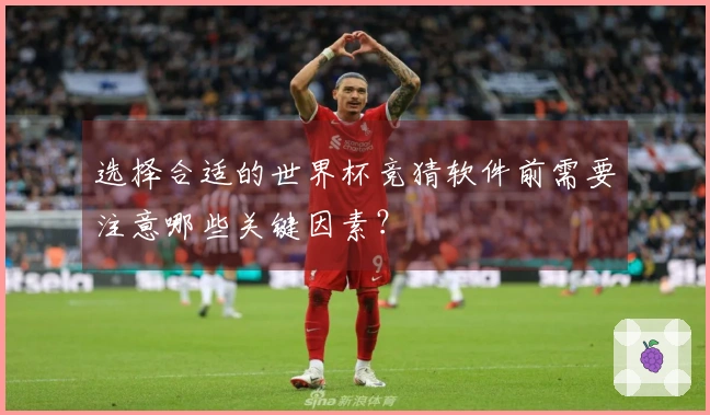 选择合适的世界杯竞猜软件前需要注意哪些关键因素?