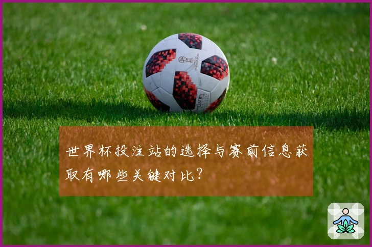 世界杯投注站的选择与赛前信息获取有哪些关键对比?