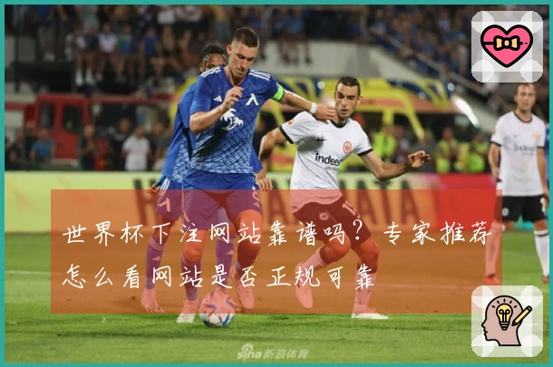 世界杯下注网站靠谱吗?专家推荐怎么看网站是否正规可靠