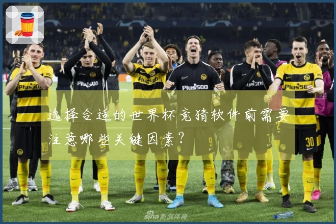 选择合适的世界杯竞猜软件前需要注意哪些关键因素？